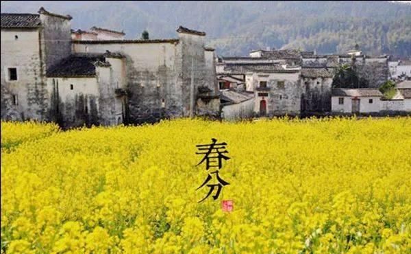  『令七十二候』二十四节气：春分