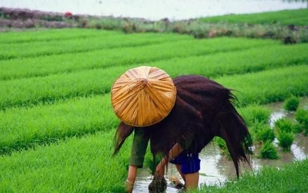  【断雪】农村俗语“清明断雪，谷雨断霜”是啥意思？在当今用的适当吗？