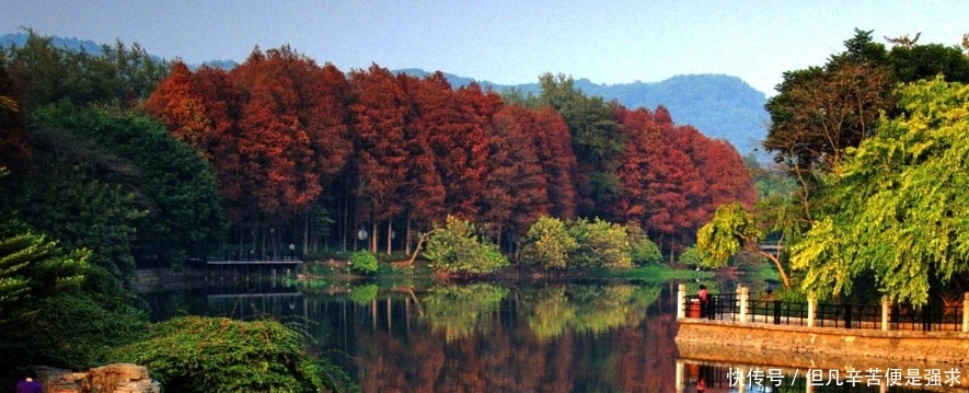 旅游天天荐:广州一日怎么逛最好