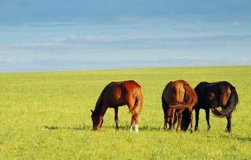不想买门票,只想免费看风景?国内还真有几条超便宜的旅游路线!