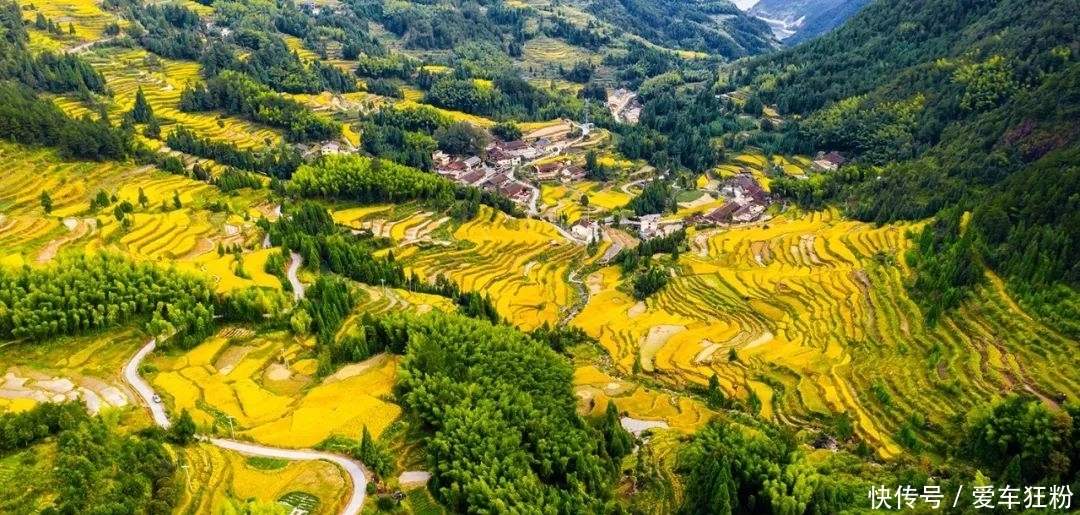 一定要去看看！景宁郑坑那片藏在山间的绝美梯田，惊艳了整个秋天