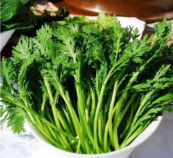  『收获』阳台种上4种菜，2个月就能收获，一茬接一茬，绿色又健康！