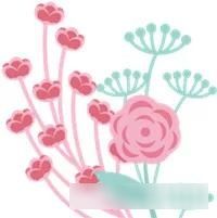 「樱花」中国这些花开成海的地方,美极了