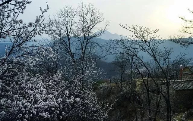 2020年,这个新年假期太长了,待到春暖花开时,相约太行大峡谷
