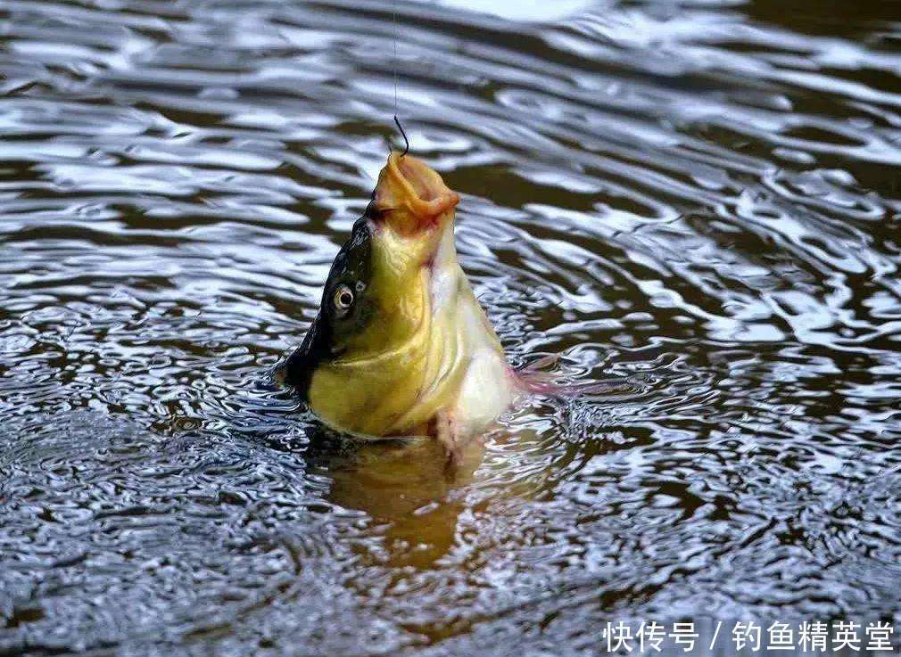 『风向』钓鱼和刮风有什么联系?能回答这三个问题,说明你钓鱼有些年头了