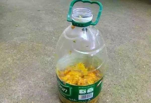  花生麸■节日期间，我们在家里做花肥，它充满了生育能力