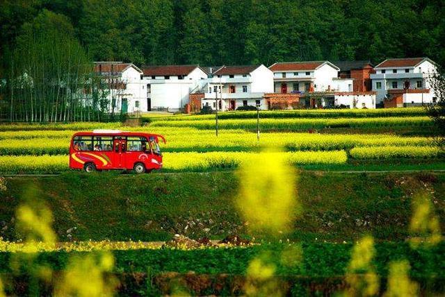 农村要大变样了！未来农村7类建设先受益！