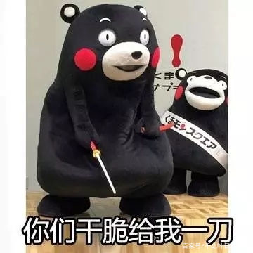 与双11有关的日语词汇,单身狗剁手等词汇