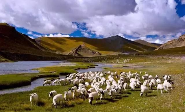 去了西藏，还想再去一次的理由