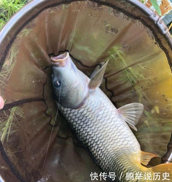  [子线]钓鱼太费钱所以能省就省在这几个环节省了钱，你多半会空军