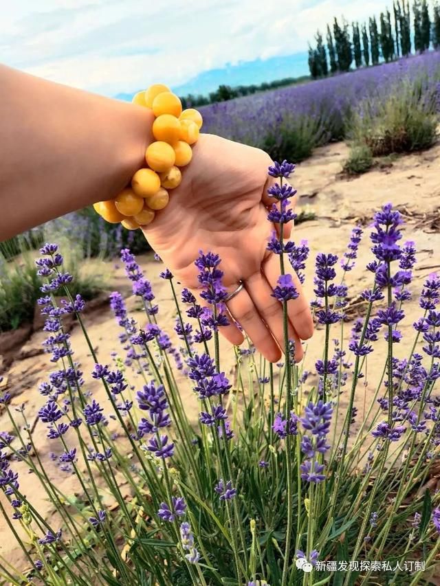 去了北疆才知道，中国有多大；去了南疆才知道，中国有多美