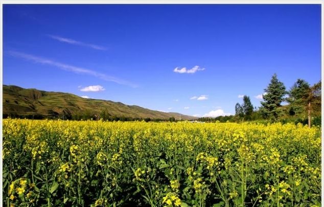  【农民】进城农民不再强制退出宅基地，新土地法呈现7大亮点惠及
