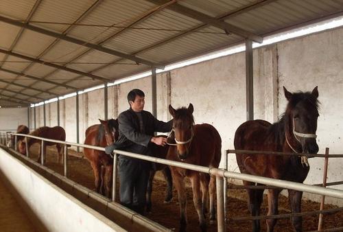 驴肉，驴皮都能卖钱，利润高，为啥农村养驴的少，养猪的却很多？