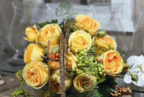 『烛光』“珍稀玫瑰”烛光,开花似美人起舞,比“菊花”美,堪称盆栽首选