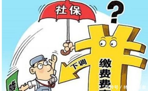 如果想提前退休，可以选择不交养老保险吗看专家怎么说