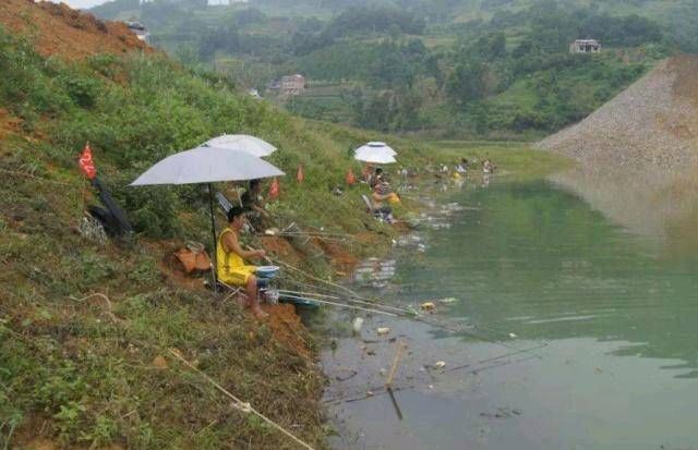  「将准备好」如果你想在夏天钓大鱼，你需要了解这些鱼饵，它们能帮助你钓到很多鱼