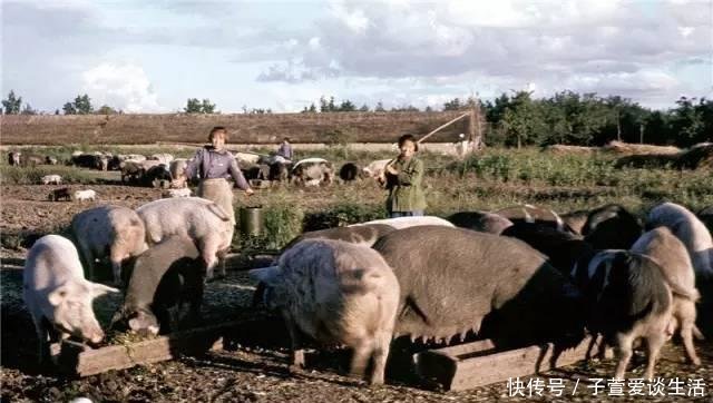  在海边|1971年中国农村真实老照片图2让人怀念、图10很多人一定