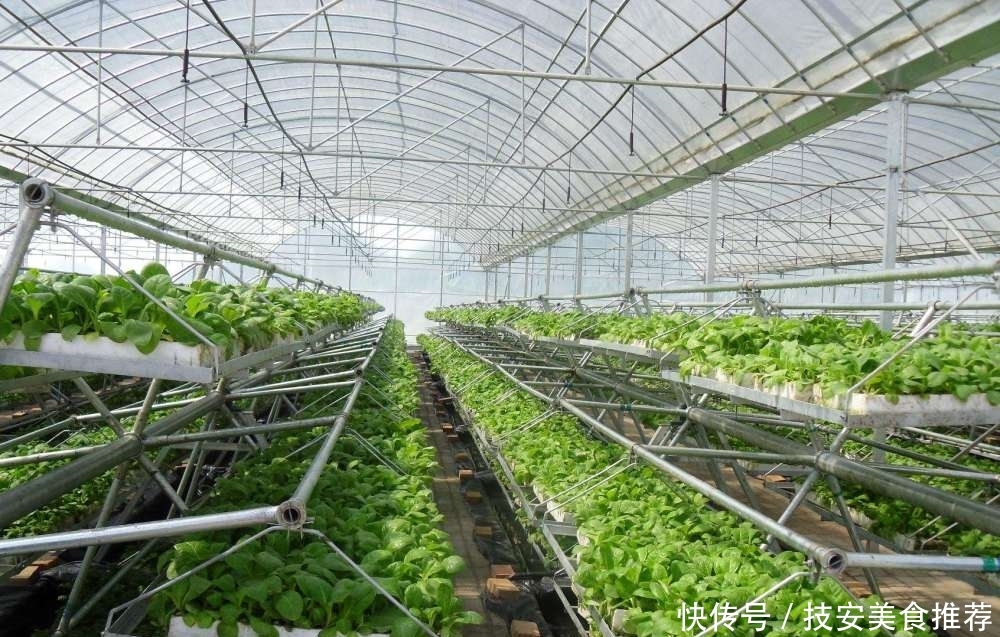  大棚■盖大棚穷三年，农民抱怨不赚钱，以色列的温室大棚为啥这