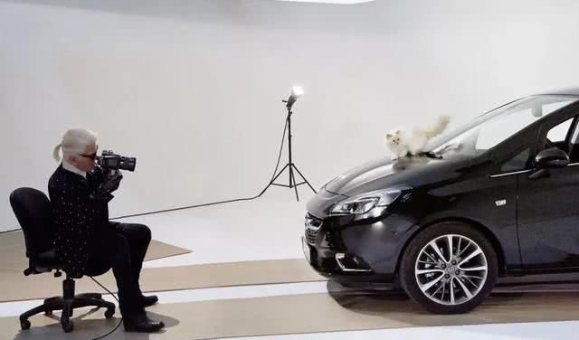  『Choupette』时尚教父“老佛爷”生前养的这只猫，有多幸运就有多难过