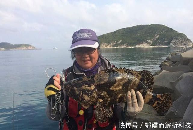 『钓法』石斑鱼来自海洋的“鸡肉”该如何垂钓?