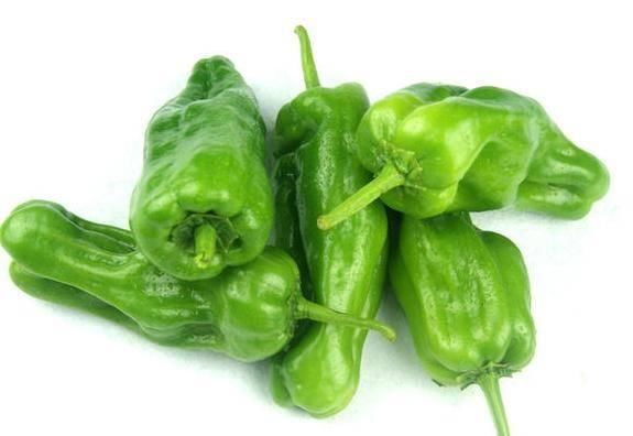  『将里脊肉』辣椒就是火锅配菜都是主菜，下饭菜下酒青椒肉丝，可口健脾开胃虎皮鹦鹉椒