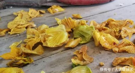 农村人把它当做宝贝，城里人都把它当垃圾，你肯定不知道它能这样