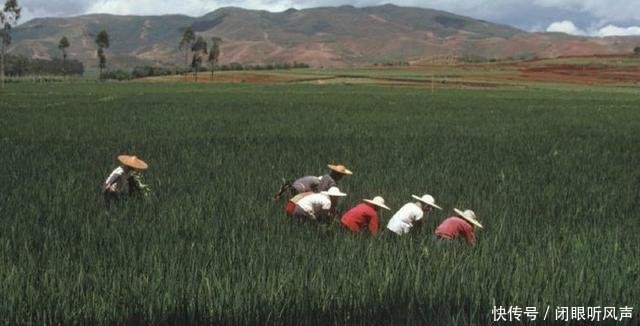 1979年中国老照片 图3已经逐渐消失、图5很熟悉、图7让人难忘