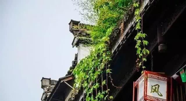 有一种旅行，叫去老街走一走