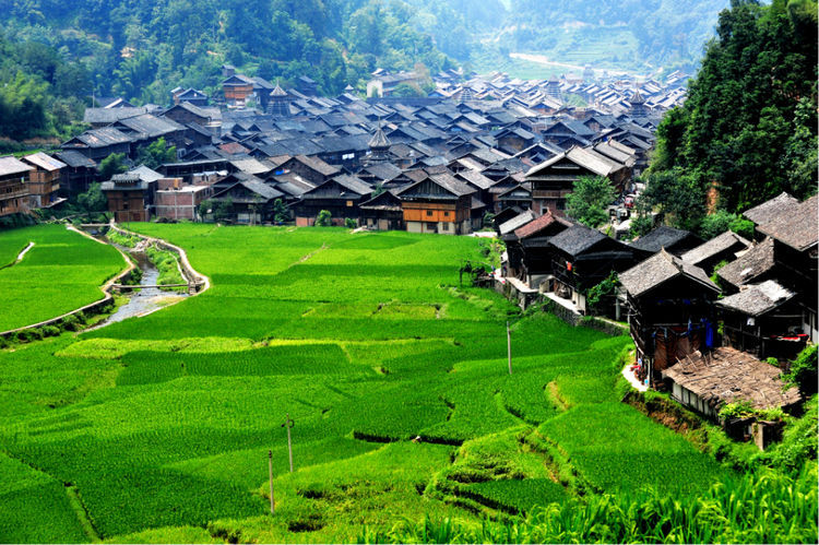  贵州：中国“造桥”最厉害的省，全球前30大桥有一半在此，是你