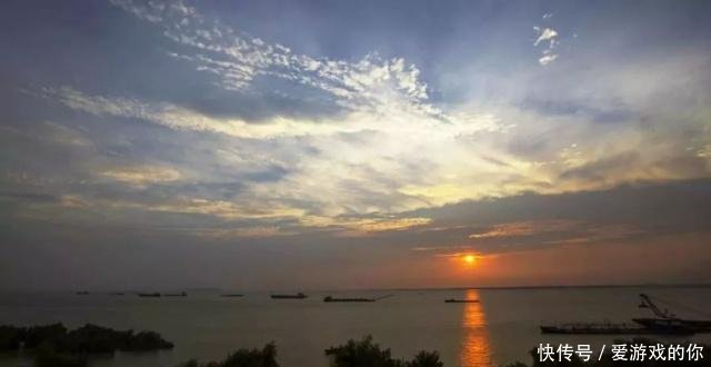 紧急！冷空气和暴雨又来了！这些柑橘防御措施再不做就晚了！