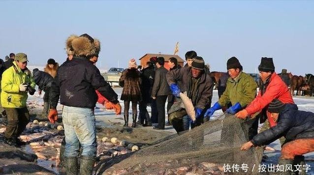 查干湖一网30万斤鱼,头鱼拍卖99万,网友半辈子身价不如一条鱼
