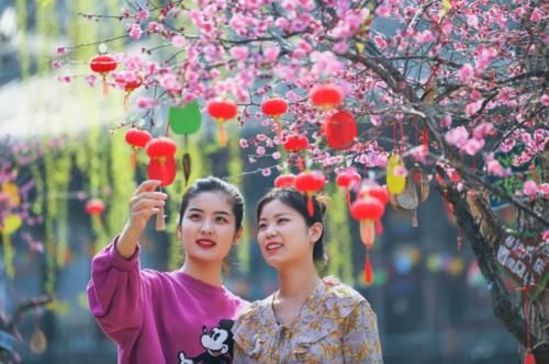  「古城」台儿庄古城安心游，再见是春暖花开，我在这等你!