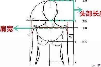 女性好身材的标准是什么？5个数字告诉你！