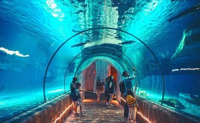 用三天时间想要玩转香港和澳门，而且还要玩法时尚，你会如何规划