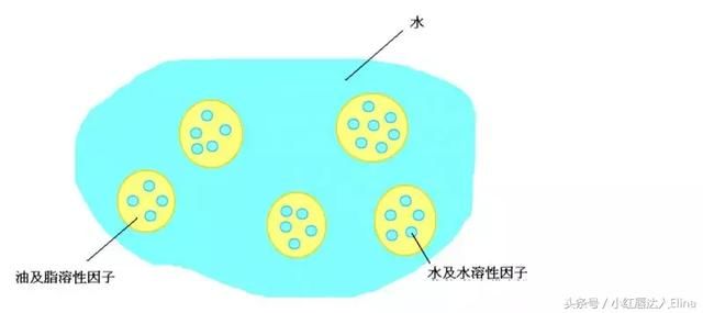 张雪迎、秀智素颜曝光？中韩国民初恋谁的颜值最抗打？