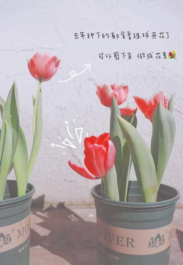  「超级多」让你的照片美貌营业，百万博主们都离不开它！