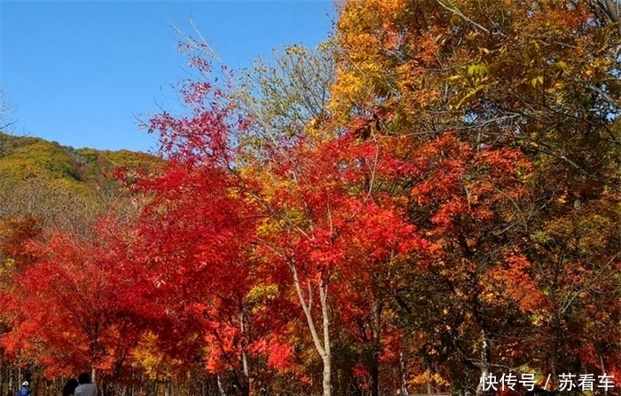 长白山最美的山谷，秋天红叶满天，保持着原始质朴的风貌