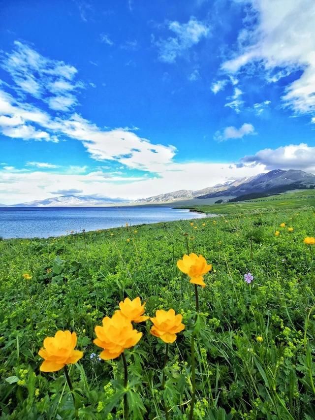 去了北疆才知道，中国有多大；去了南疆才知道，中国有多美