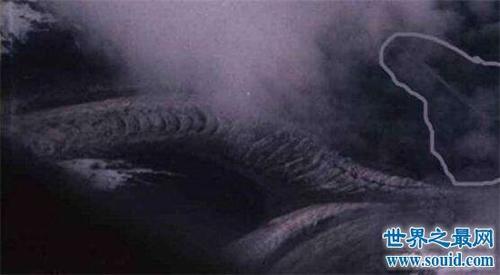 卫星拍到的真龙凤凰，其实只是冰川山脉形状像龙