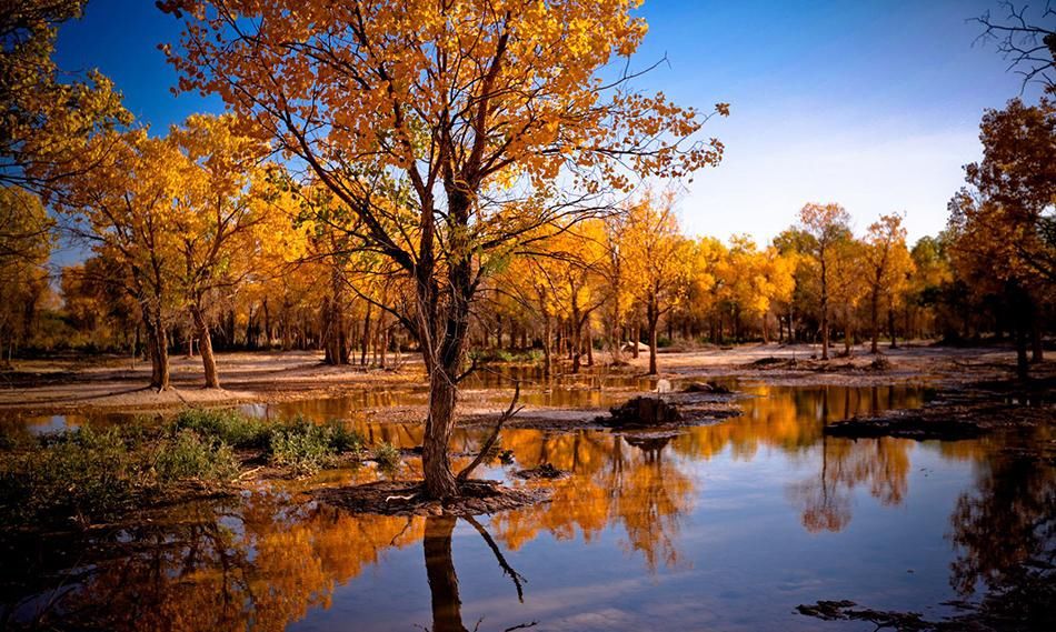 9月初秋国内游，3个最美秋景观赏地