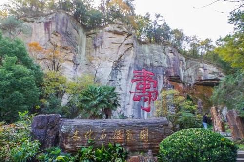 这里遍地都是硅化木化石，还有满坡的恐龙蛋却没有人去挖