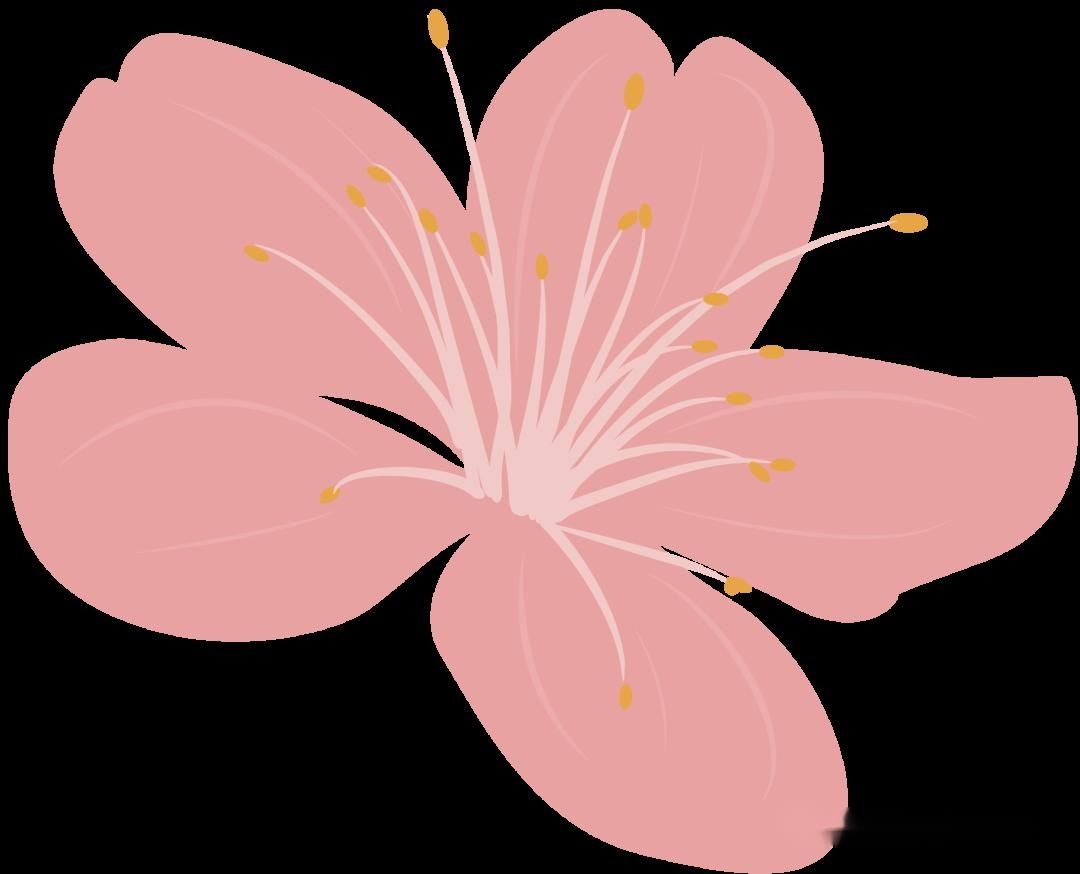 [樱花]美！湖口这里居然有十里樱花，你知道在哪吗？