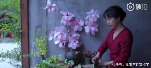 李子柒是怎么能红的