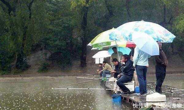  水域的水温■春雨过后好钓鱼！为什么大雨、暴雨后没口呢原因就在这4方面