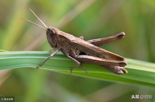 2019年农村做什么有前景做事最赚钱呢？这4种行业最可能最赚钱