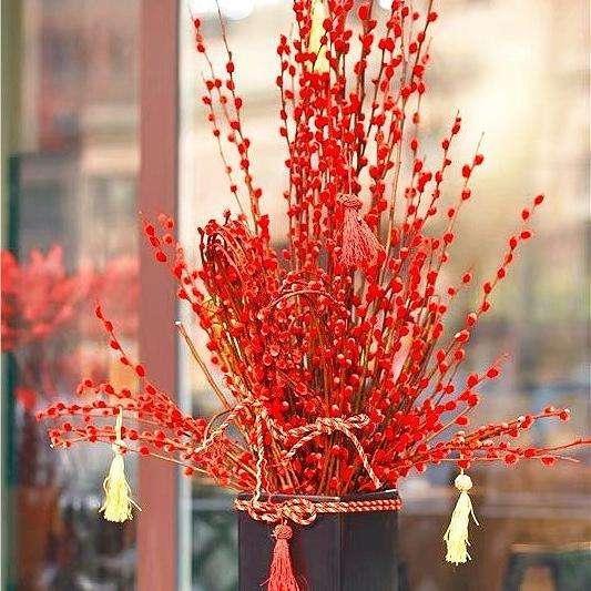  「至少」“年味十足”的10种花，家里至少摆1盆，寓意吉祥，还特有面儿