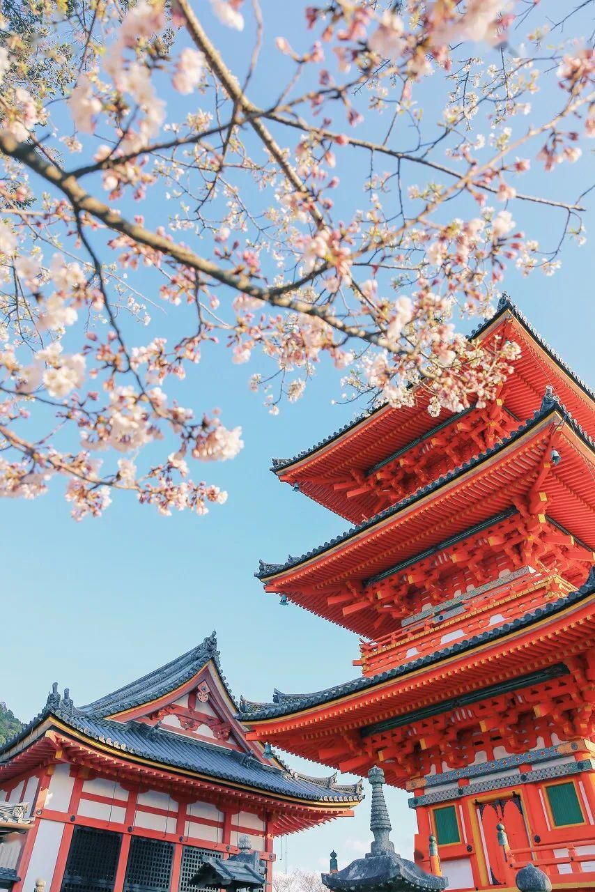 『镜游』【镜游天下】带你足不出户欣赏80处美景