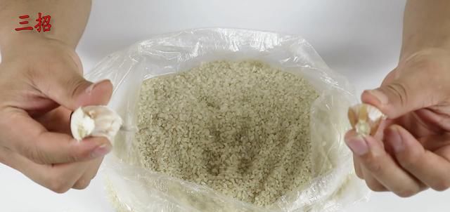  [放在大米里]夏天大米容易生虫？轻松一招，大米再也不生虫了