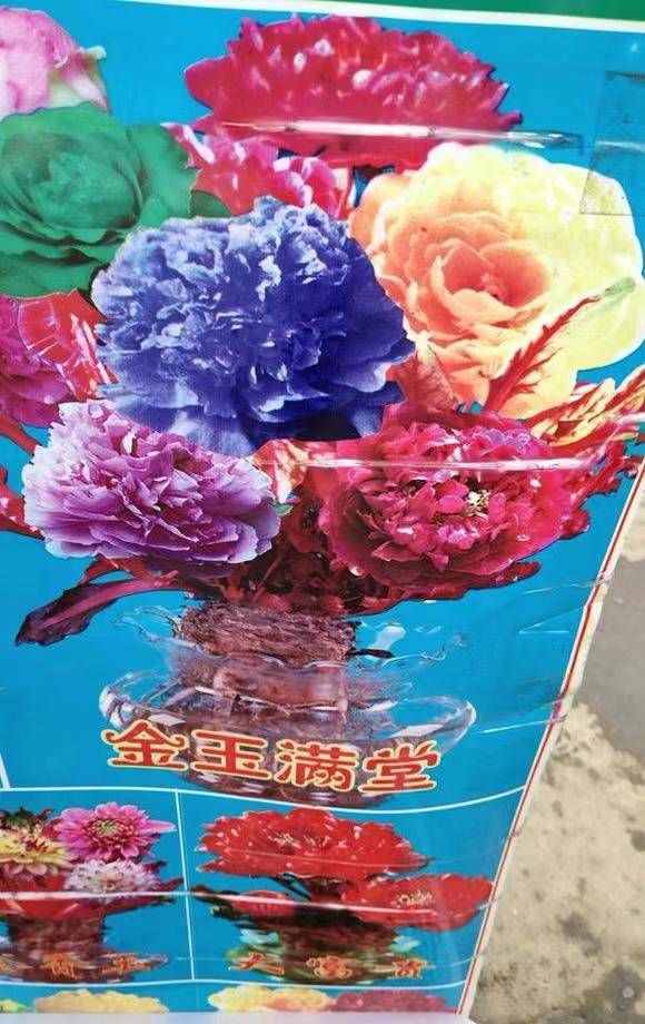  『千万别』街上碰见这些花千万别买，都是骗人的，买回去也养不活