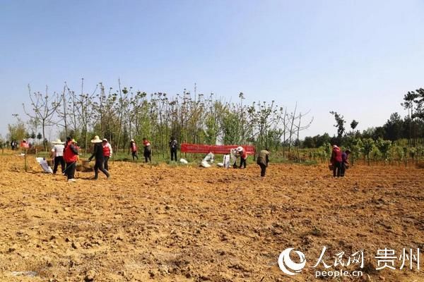  『金海湖』毕节金海湖新区：扶贫基地助推脱贫攻坚